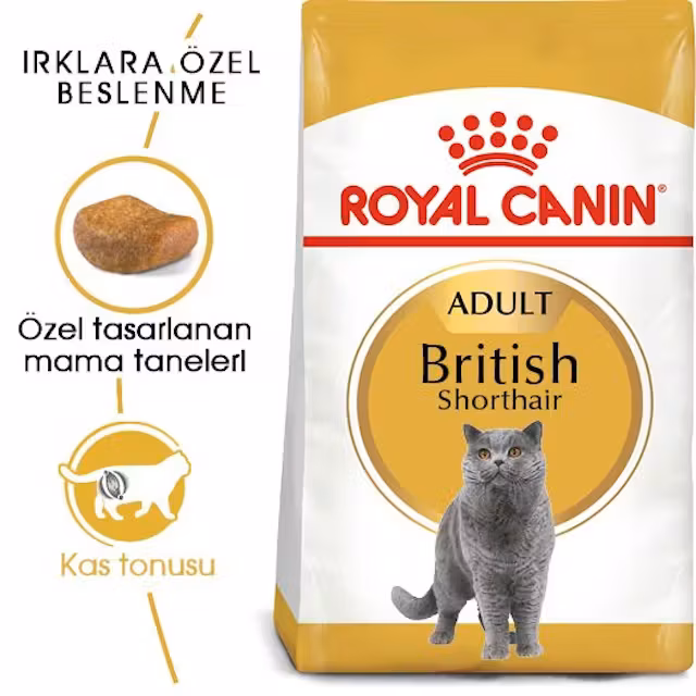 Royal Canin British Shorthair 10 Kg Yetişkin Kedi Maması