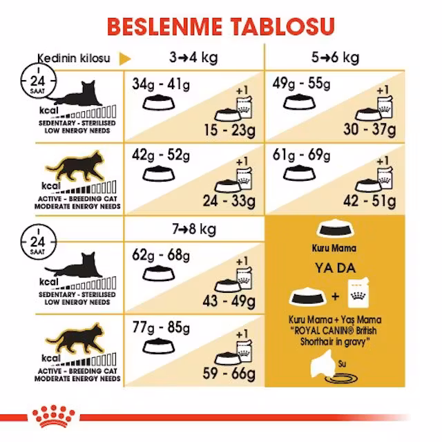 Royal Canin British Shorthair 10 Kg Yetişkin Kedi Maması